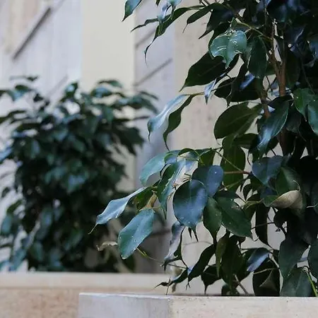 Domus Nova Πανσιόν 2*
