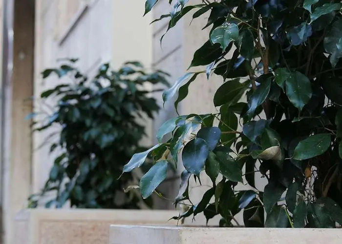 Domus Nova Affittacamere 4*